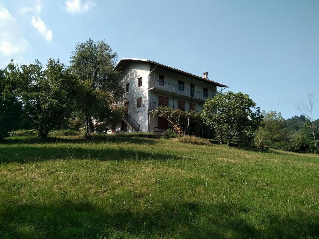 Terrazza lago